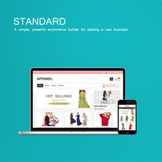 Smart Ecommerce Website  Standard