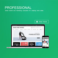 Smart Ecommerce Website Professional